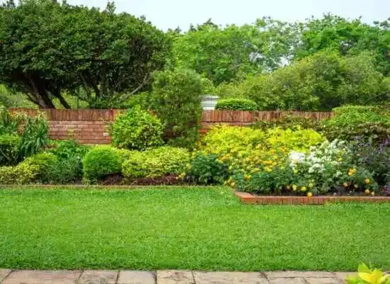 landscaping services Dellwood